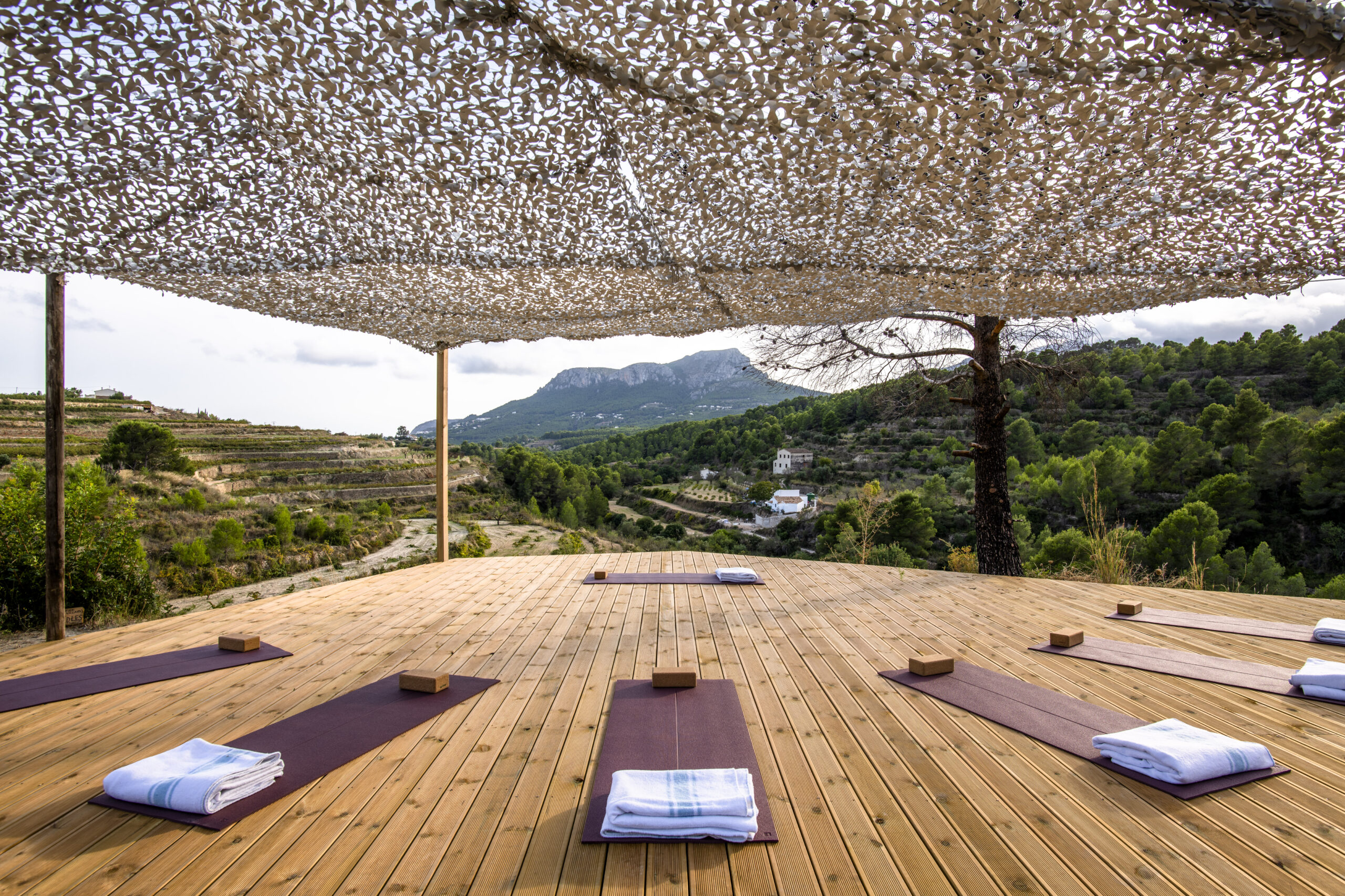 Yoga_Pilates_deck_lavi_sound_and_yoga__116