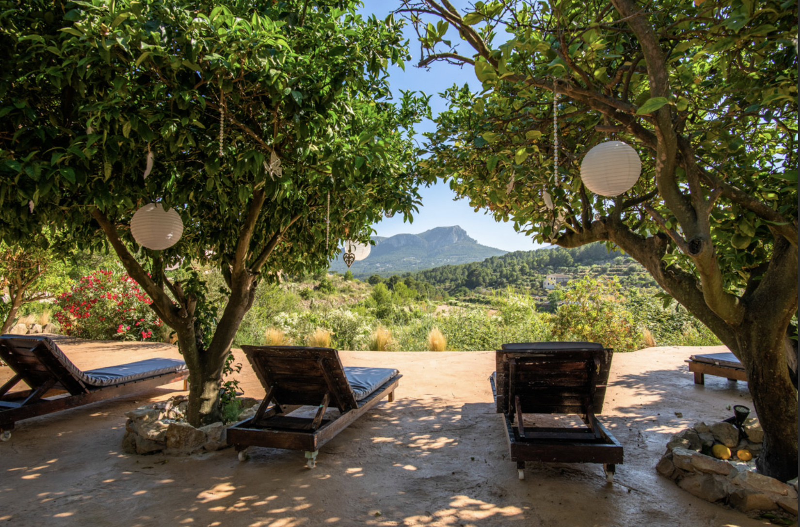 orchard_2023